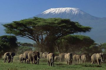 Fakta om Kilimanjaro